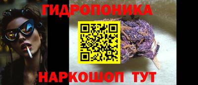 сатива Кулебаки