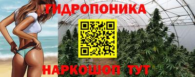 сатива Кулебаки