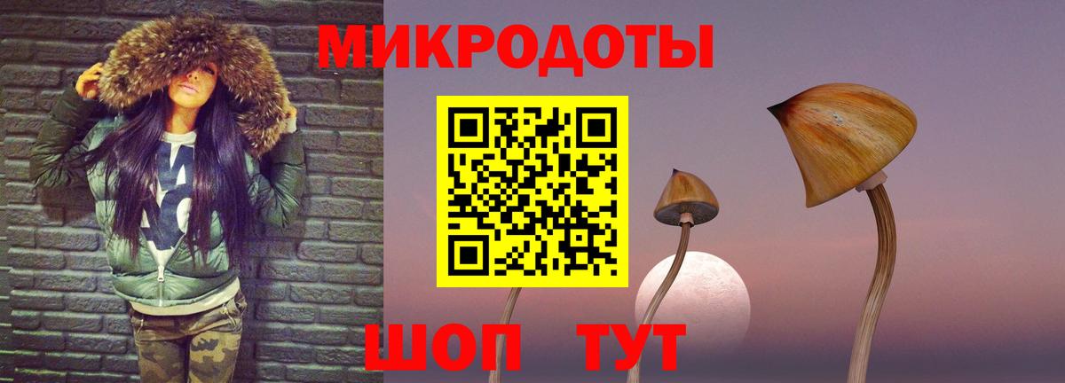 Псилоцибиновые грибы мицелий Иваново